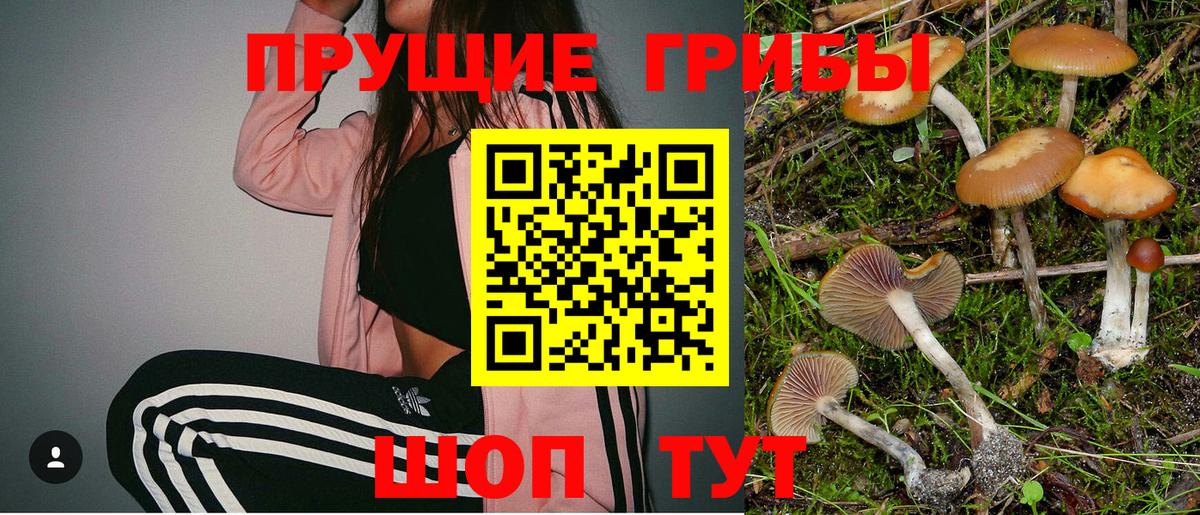 Галлюциногенные грибы Cubensis  Вход с VPN  Сафоново 